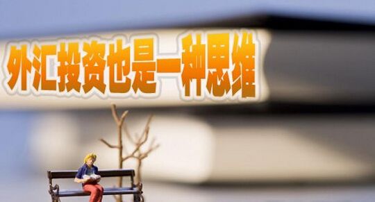 了解外汇投资的盈利原理是什么?